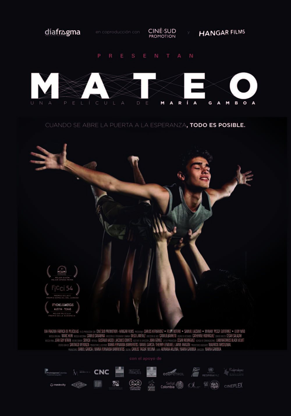 Afiche de Mateo
